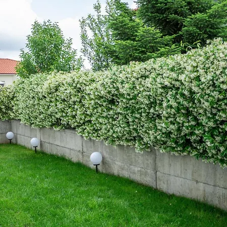 Panorama Luxury With Garden 2 *