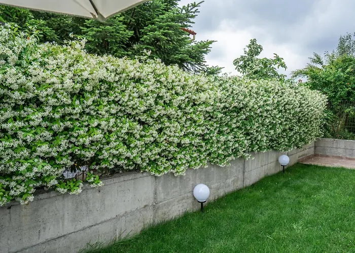 Panorama Luxury With Garden 2 アパート *